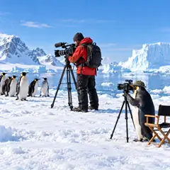 What are the best documentaries to watch?