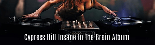 Cypress Hill Insane in the Brain Album